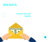 Big Data Analyst Salary