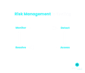 Risk Management in Testing