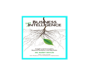 Business Unintelligence: Insight and Innovation beyond Analytics and Big Data